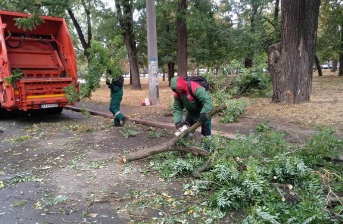 Деревопад в Одессе