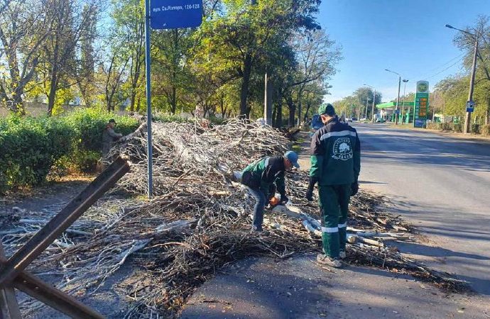 Деревопад в Одессе5