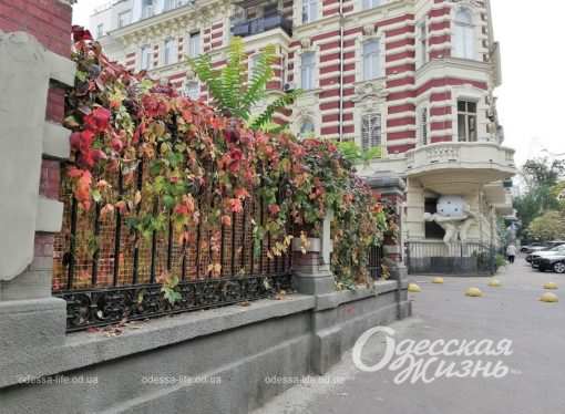 Погода в Одессе 6 ноября: каков прогноз на понедельник