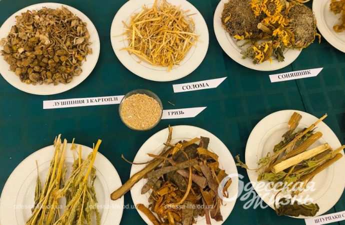 Голодомор. Сущенко