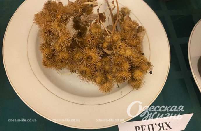 Голодомор. Сущенко