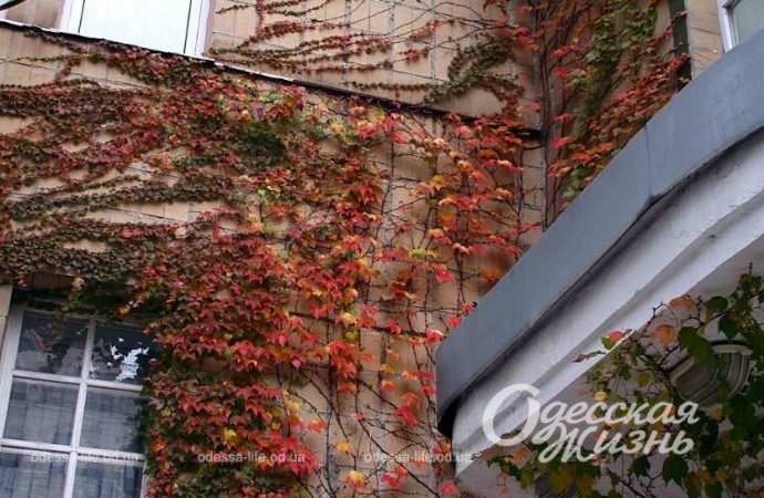 Город после шторма. Котова