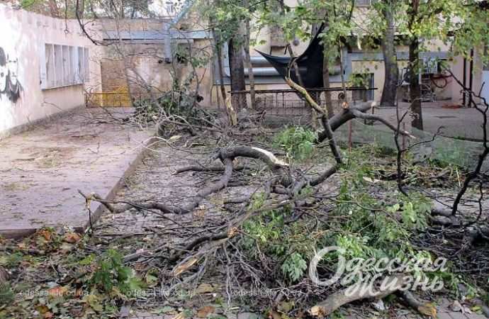 Город после шторма. Котова