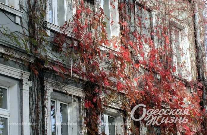 Город после шторма. Котова