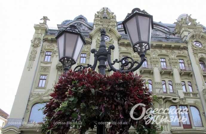 Город после шторма. Котова