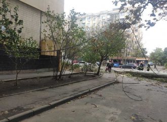 В Одесі штормовий вітер повалив десятки дерев і обірвав дроти (фоторепортаж)