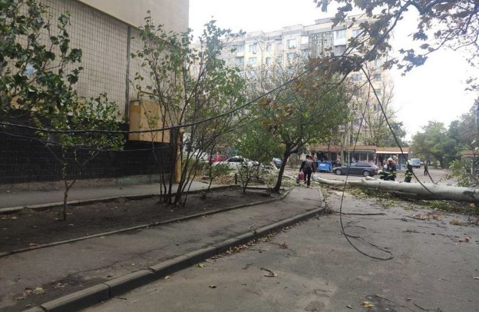 В Одесі штормовий вітер повалив десятки дерев і обірвав дроти (фоторепортаж)