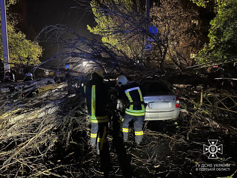 В Одессе дерево упало на авто