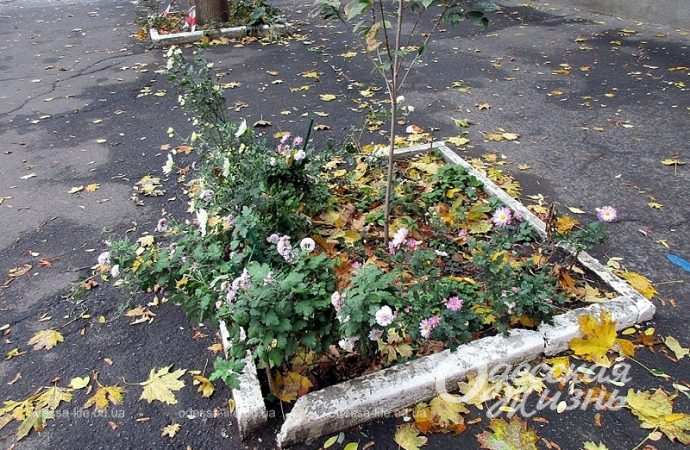 Ноябрь в Одессе11