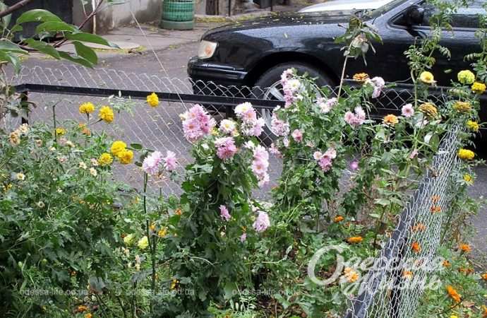 Ноябрь в Одессе15