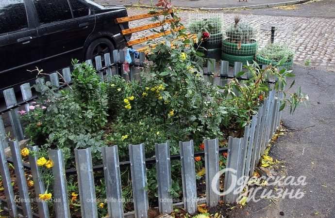 Ноябрь в Одессе16