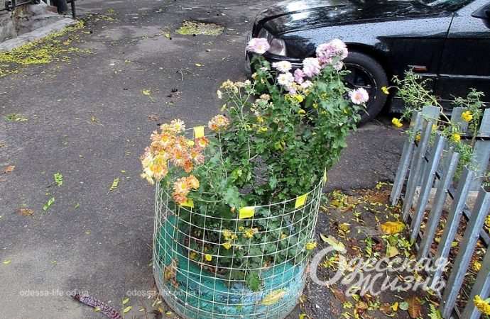 Ноябрь в Одессе17