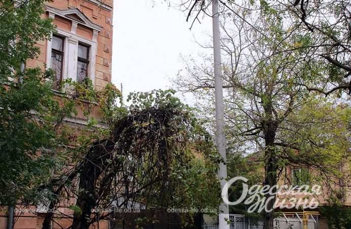 Ноябрь в Одессе19