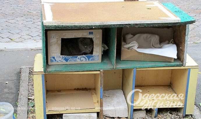 Кощачий домик в Одессе2