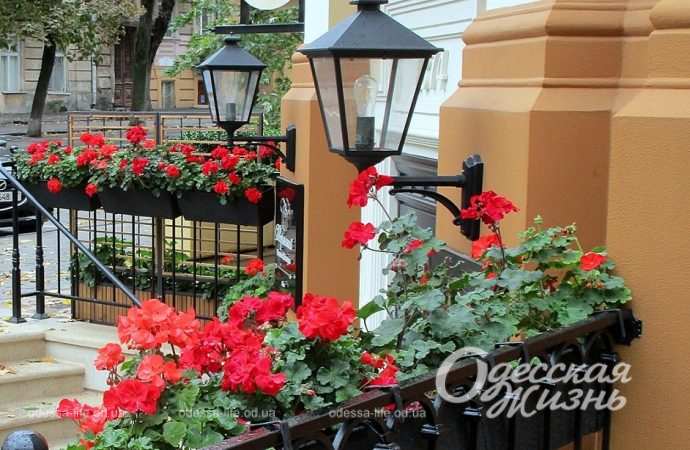 Ноябрь в Одессе8