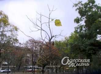 Погода в Одессе: какой будет пятница 17 ноября