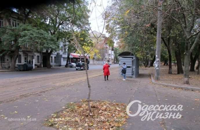 Осень в Одессе. Котова