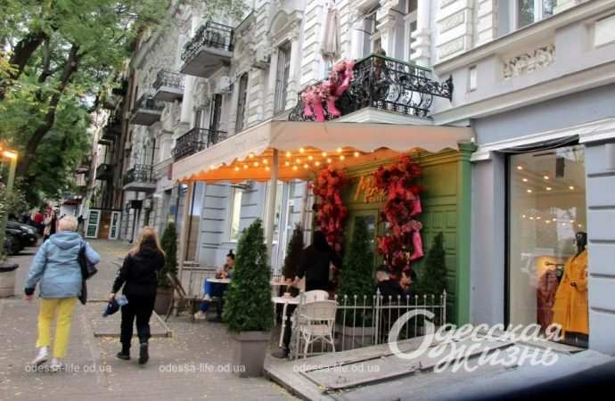 Осень в Одессе. Котова