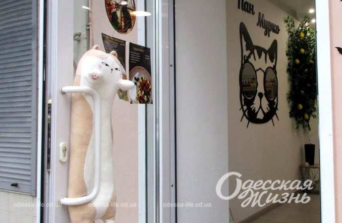 Осень в Одессе. Котова