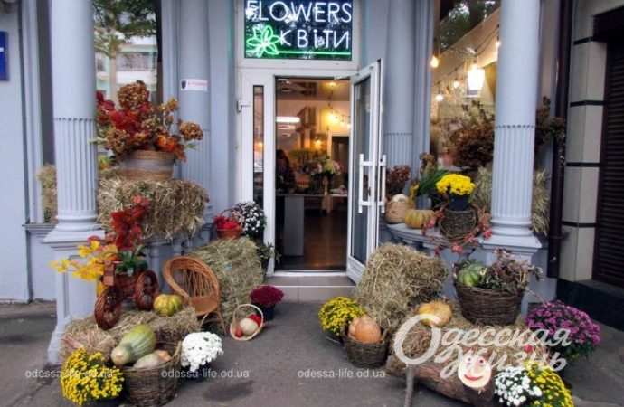 Осень в Одессе. Котова