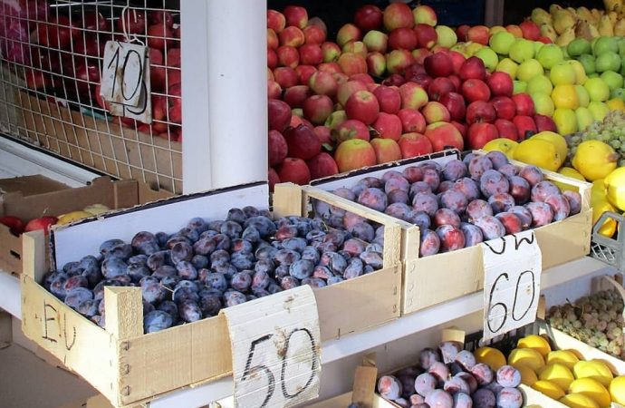 Новый рынок. Котова