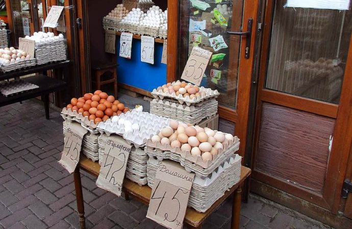 Новый рынок. Котова