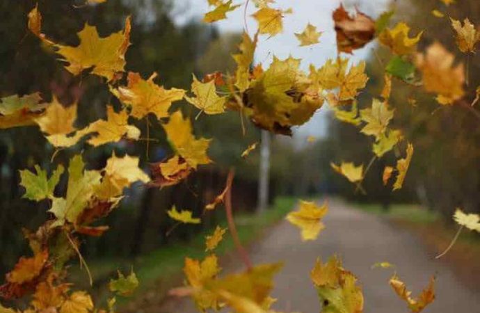 Погода в Одесі 3 жовтня: чи чекати на серйозні зміни