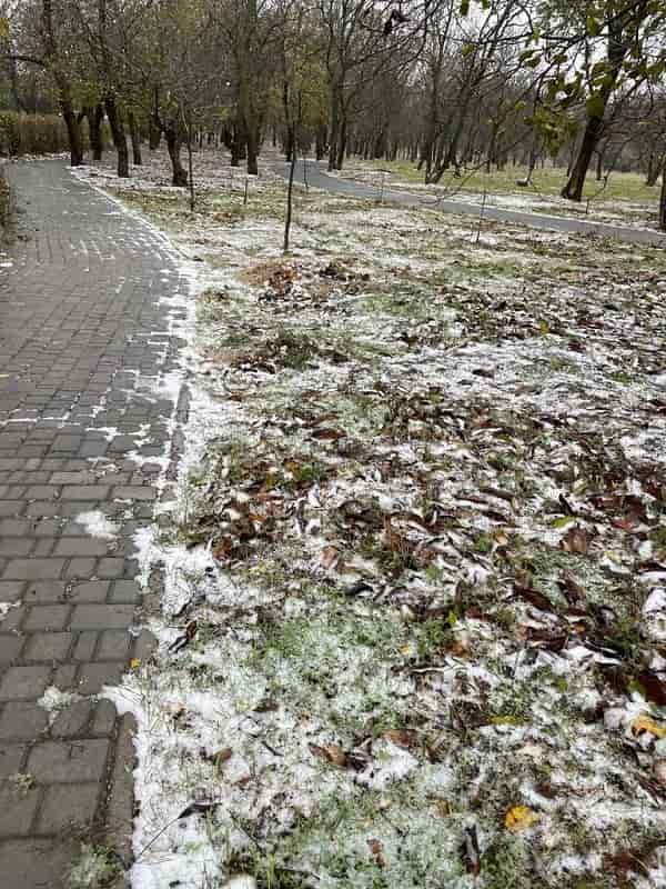 В Одессе выпал первый снег