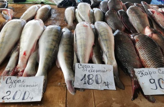 Привоз 1.12. Котова