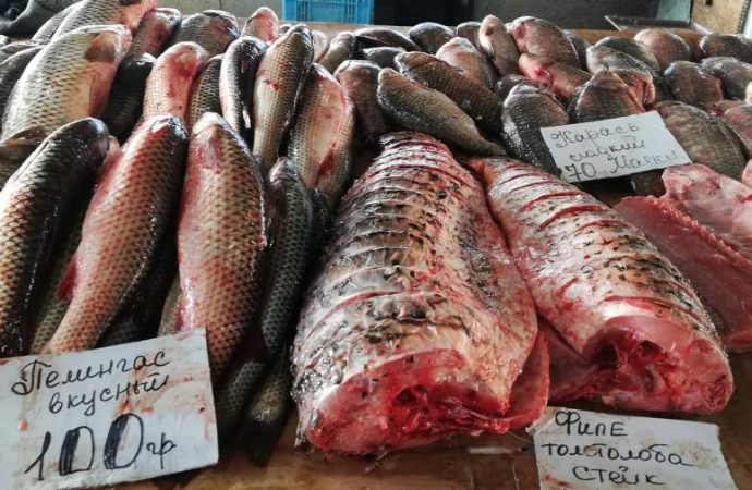 Привоз 1.12. Котова