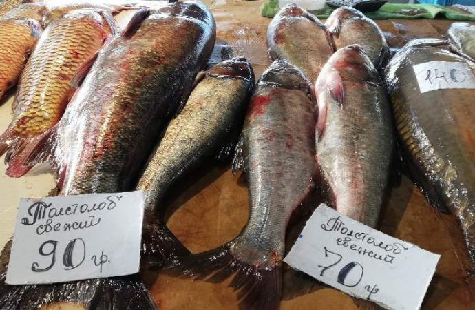 Привоз 1.12. Котова