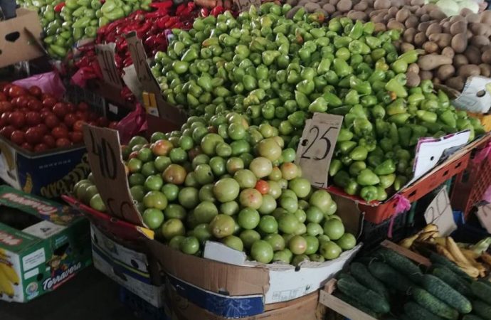 Привоз 1.12. Котова