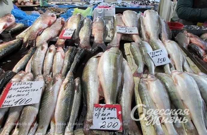 Привоз 24.11. Котова