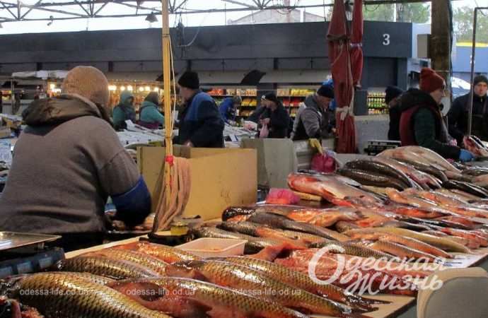 Привоз 24.11. Котова