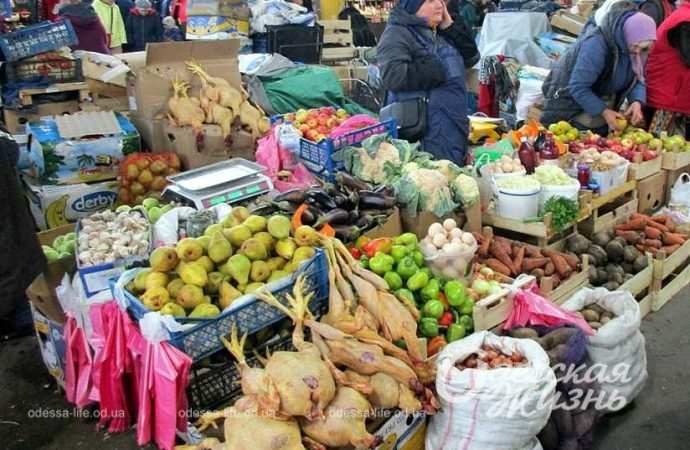 Привоз 24.11. Котова