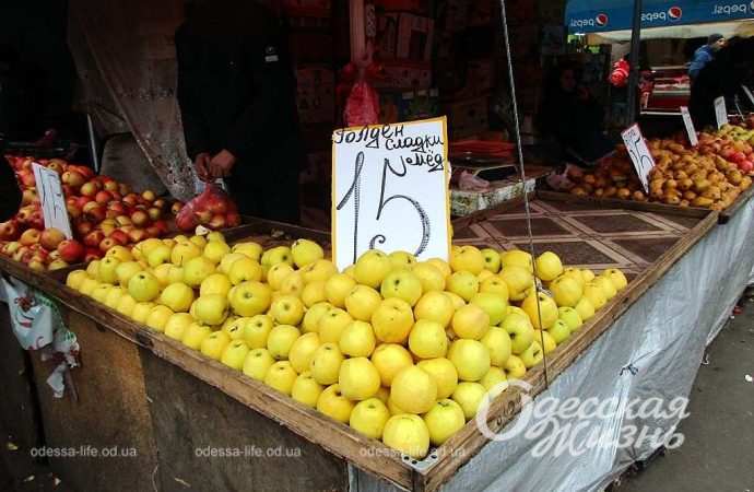 Привоз 24.11. Котова