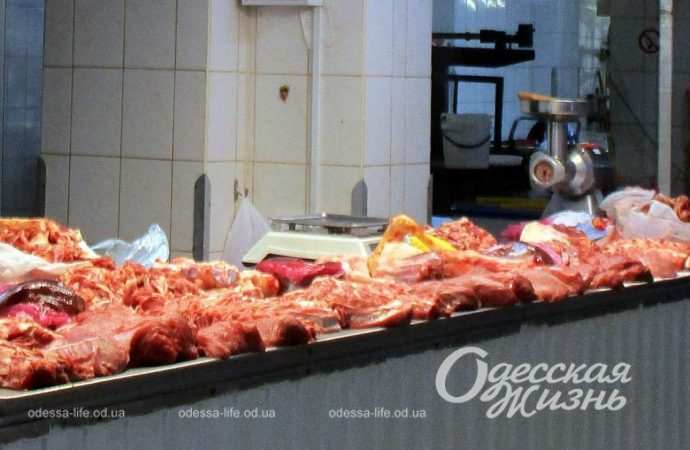 Привоз 24.11. Котова