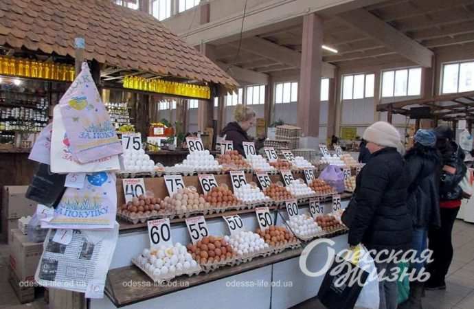 Привоз 24.11. Котова