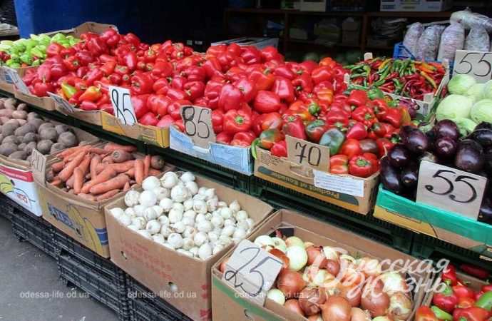 Привоз 24.11. Котова