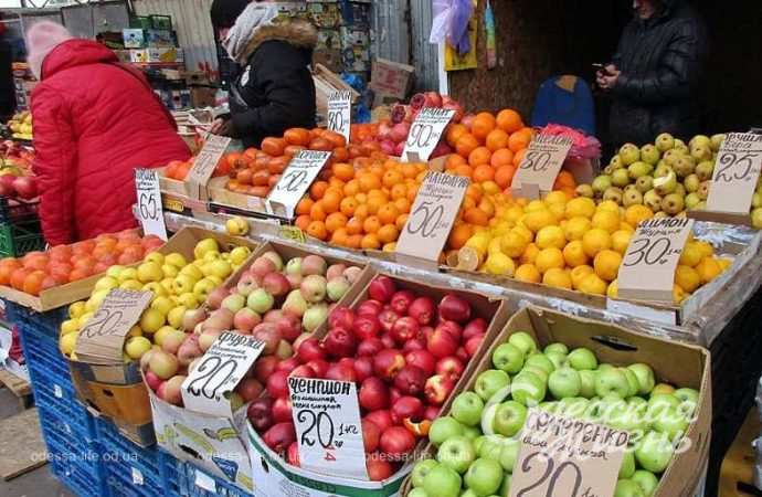 Привоз 24.11. Котова