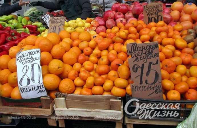 Привоз 24.11. Котова