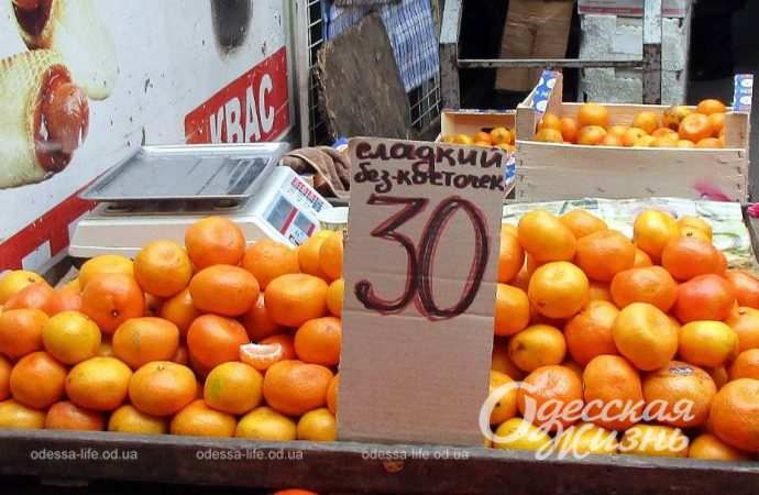 Привоз 24.11. Котова