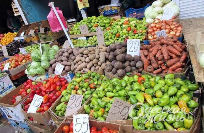 Привоз 24.11. Котова