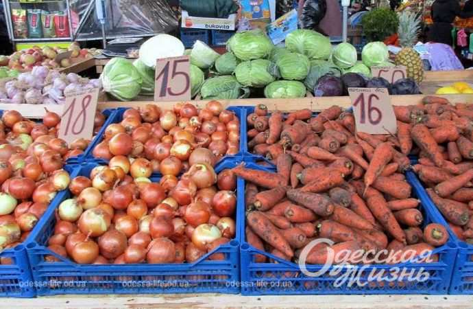 Привоз 24.11. Котова