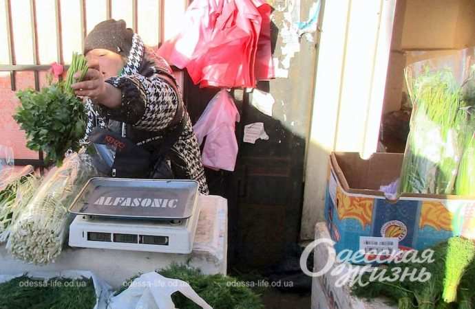 Привоз. Котова