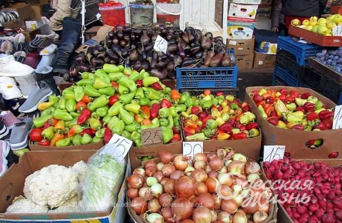 Привоз. Котова