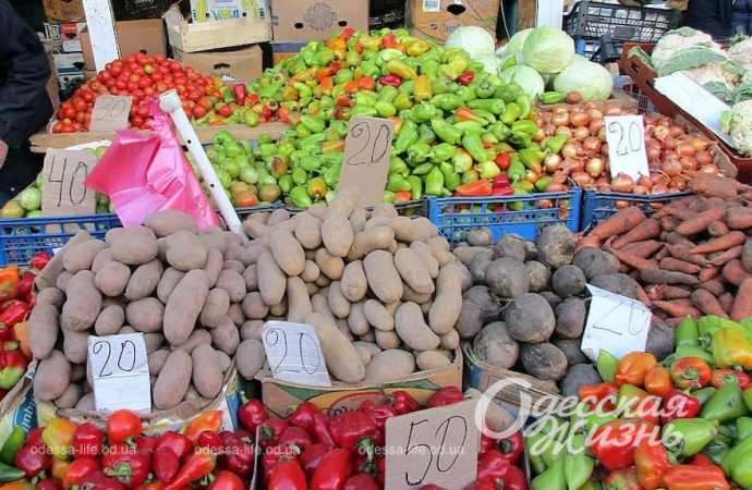 Привоз. Котова