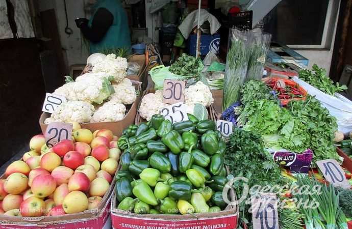 Привоз. Котова