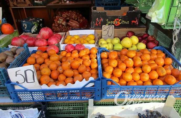 Привоз. Котова