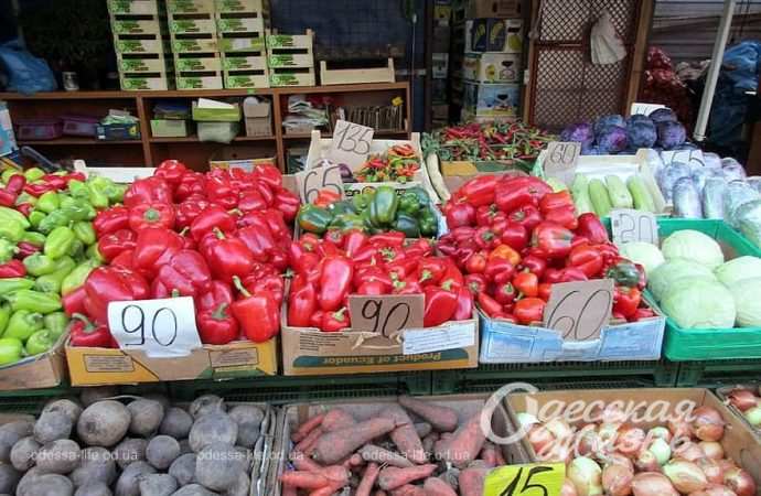 Привоз. Котова